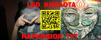 крисы Моздок