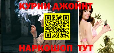 крисы Моздок