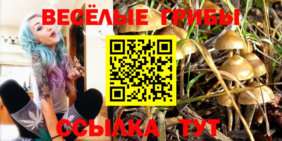 Галлюциногенные грибы Psilocybine cubensis  Вход с VPN  Псилоцибиновые грибы MAGIC MUSHROOMS  Черняховск 