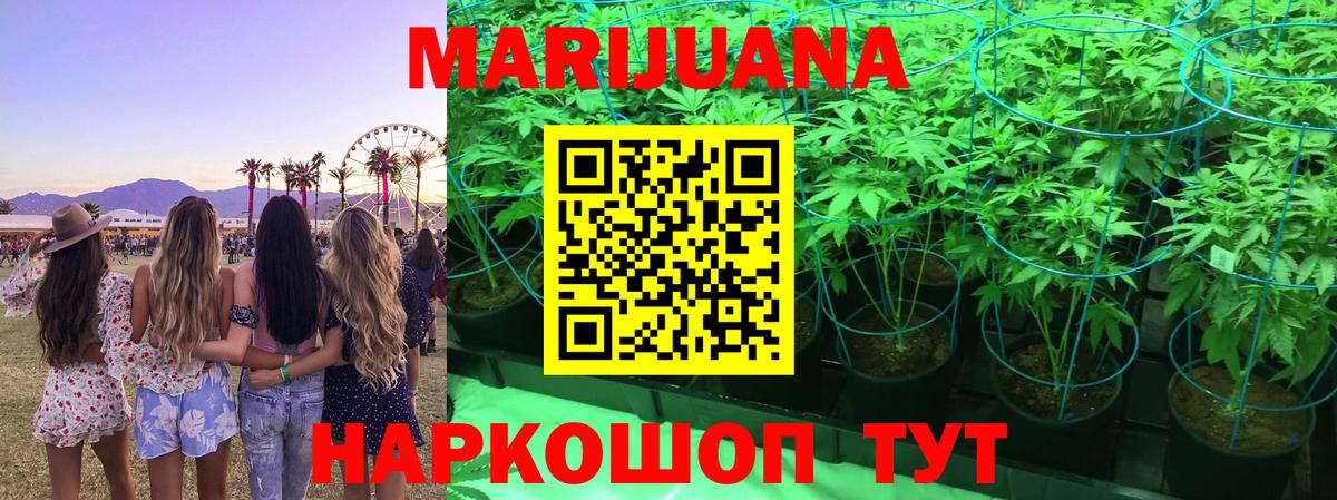 МАРИХУАНА план  Канабис OG Kush  Шишки марихуана конопля  Бошки марихуана гибрид  Вход с VPN  Черняховск 